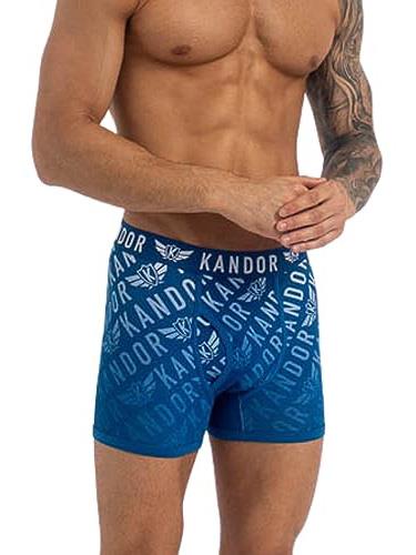 Men's Lingo Boxers 5pk Blue