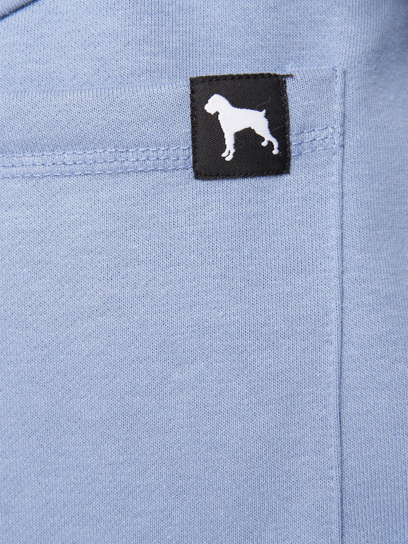 Dexon Shorts Blue
