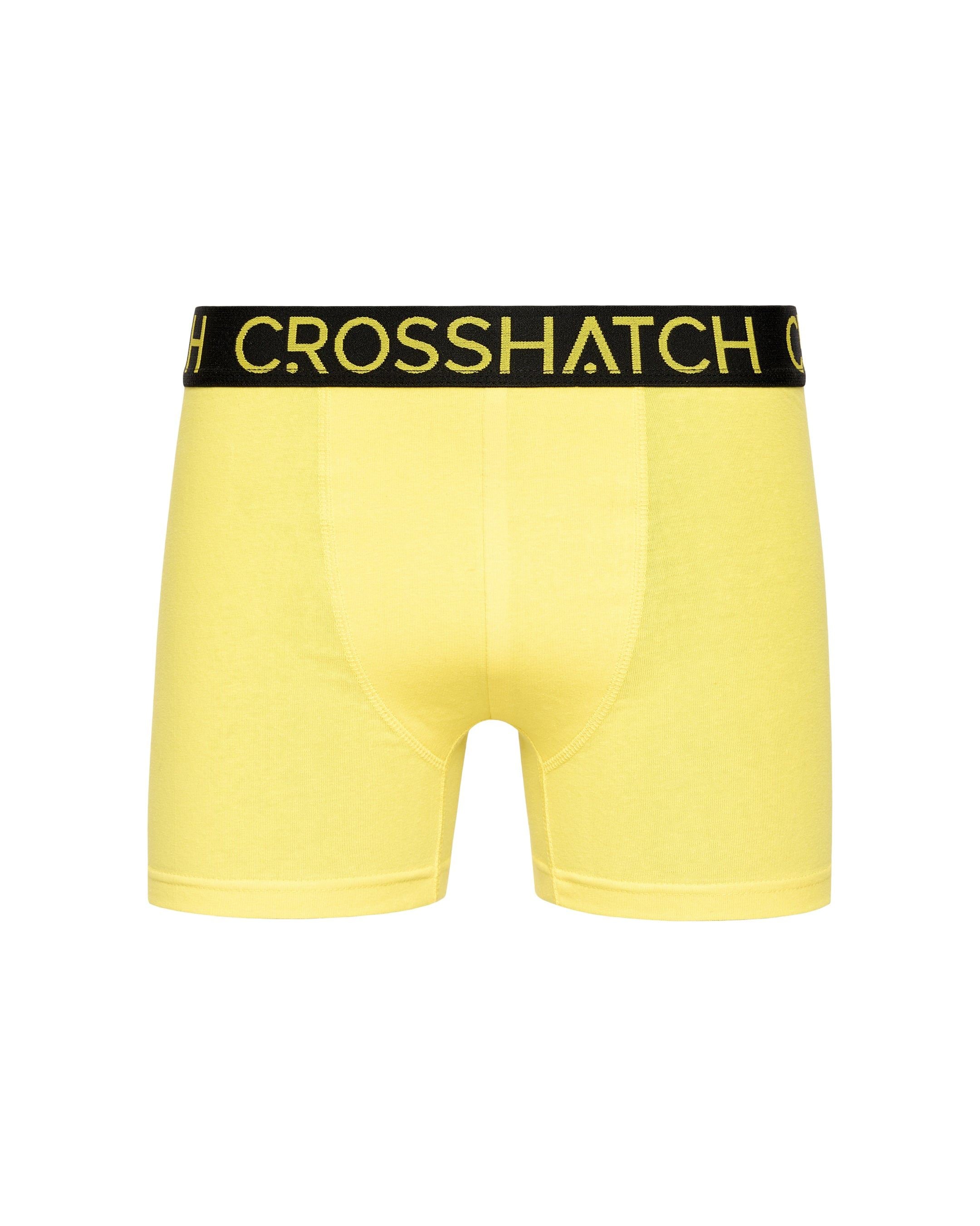 Highlighter Boxers 12pk Assorted