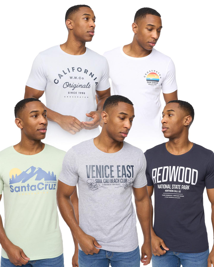 Mens Sumertons T-Shirt 5pk Assorted