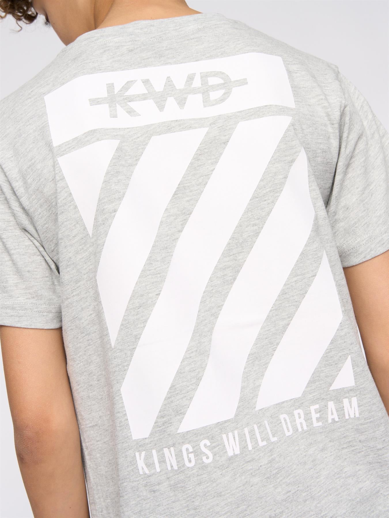 Kids Boys Stanton T-Shirt Grey Marl