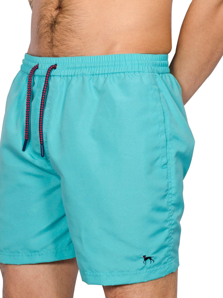 Alden Swimshorts Aqua