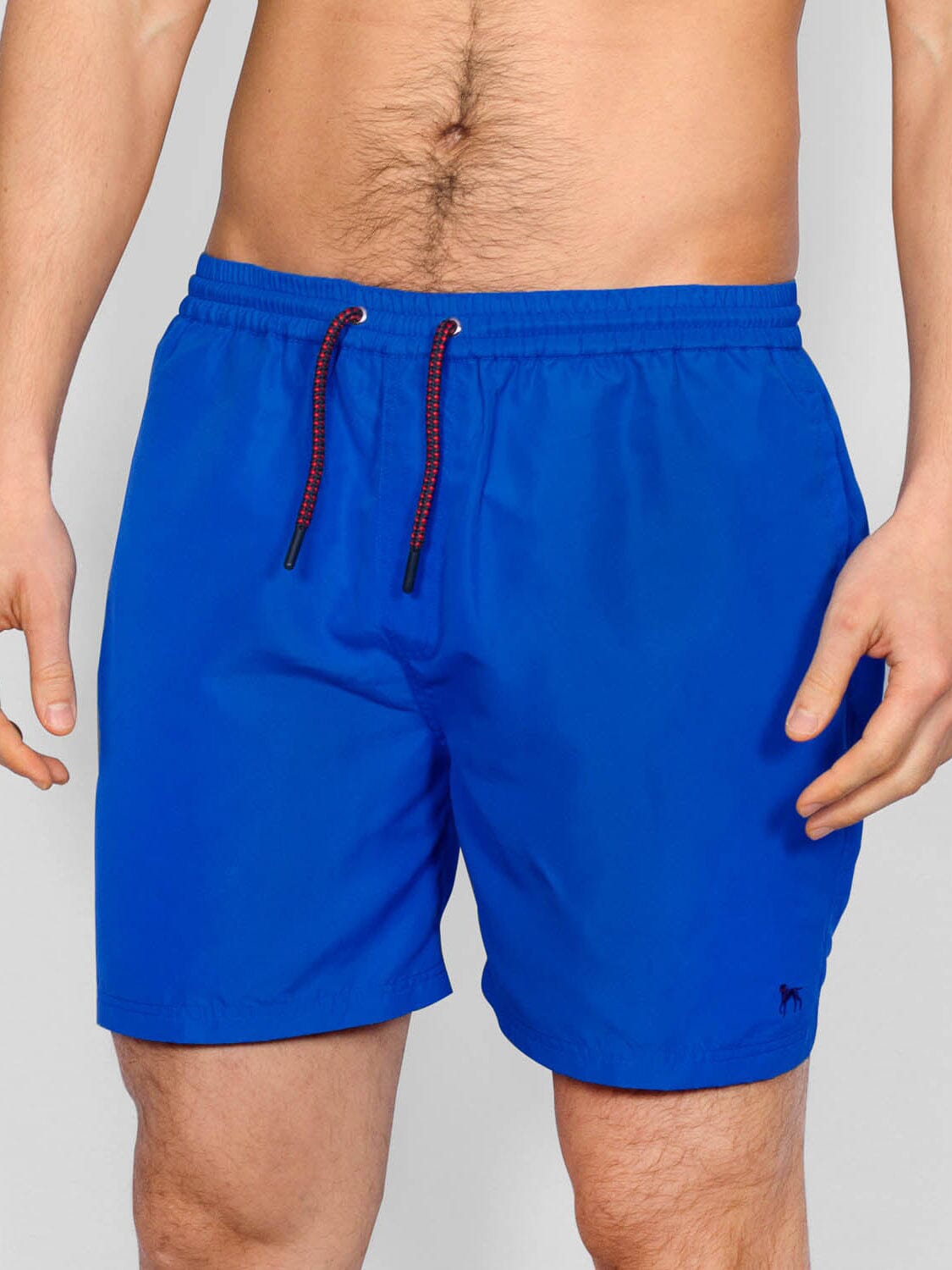 Alden Swimshorts Cobalt