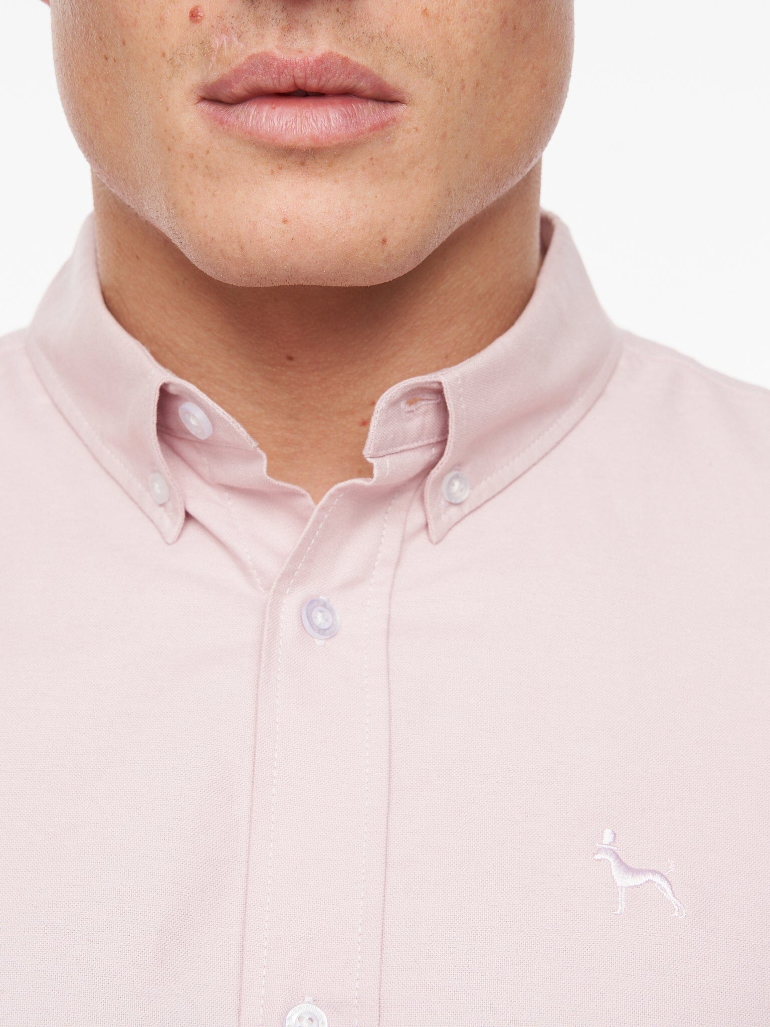 Ervin Oxford Shirt Light Pink