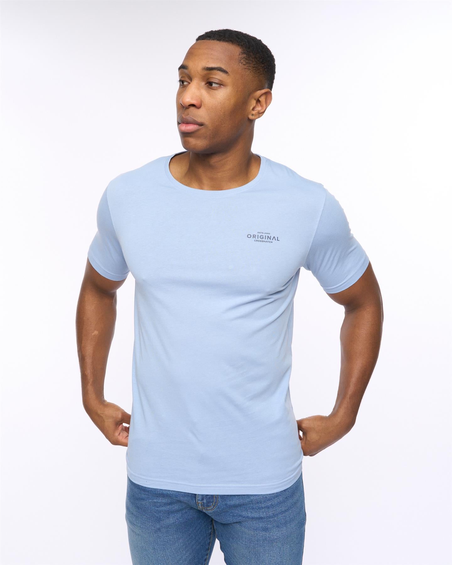 Mens Basicblues T-Shirt 5pk Assorted