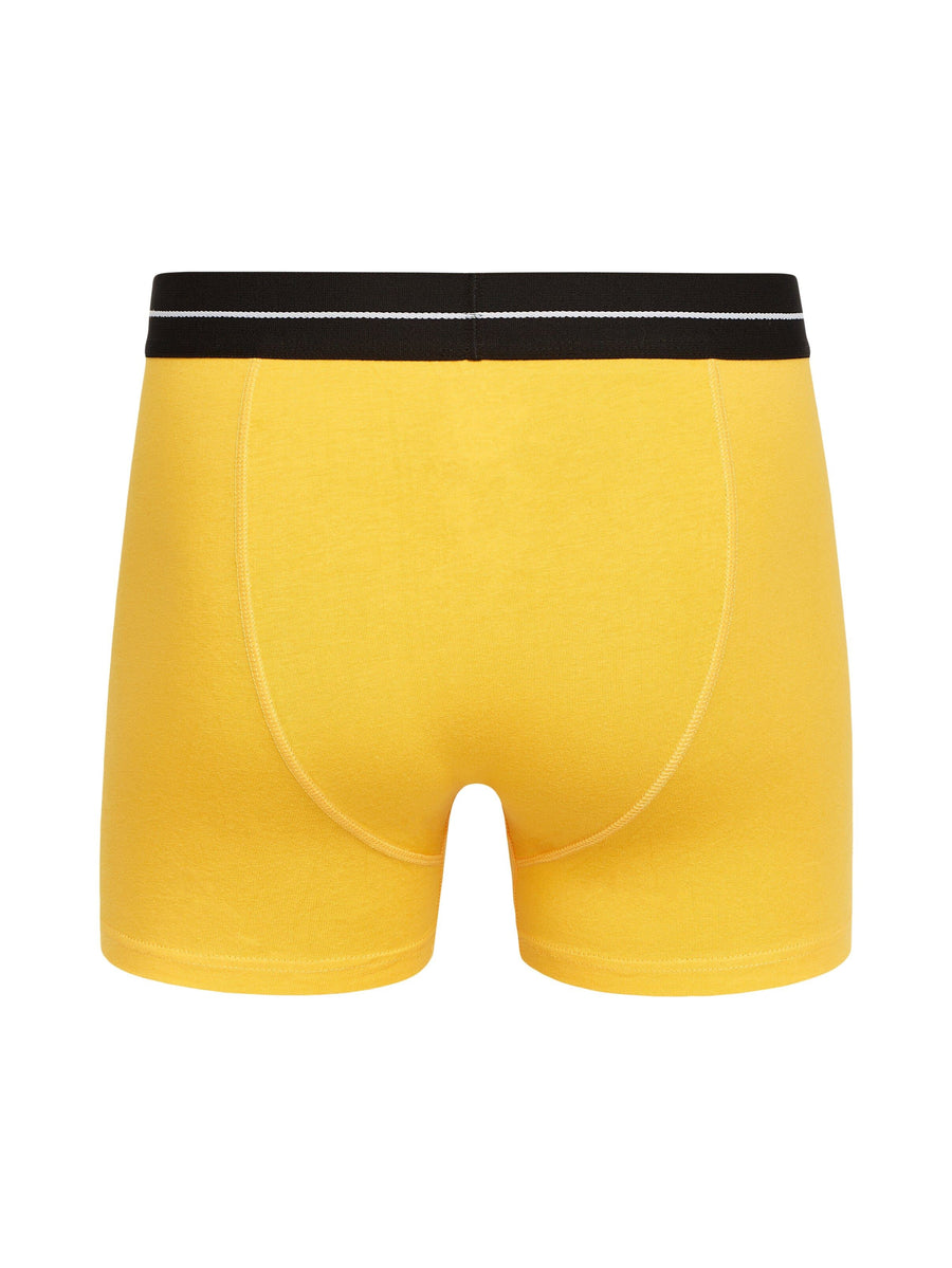 Mens Hexter Boxers 2pk Yellow
