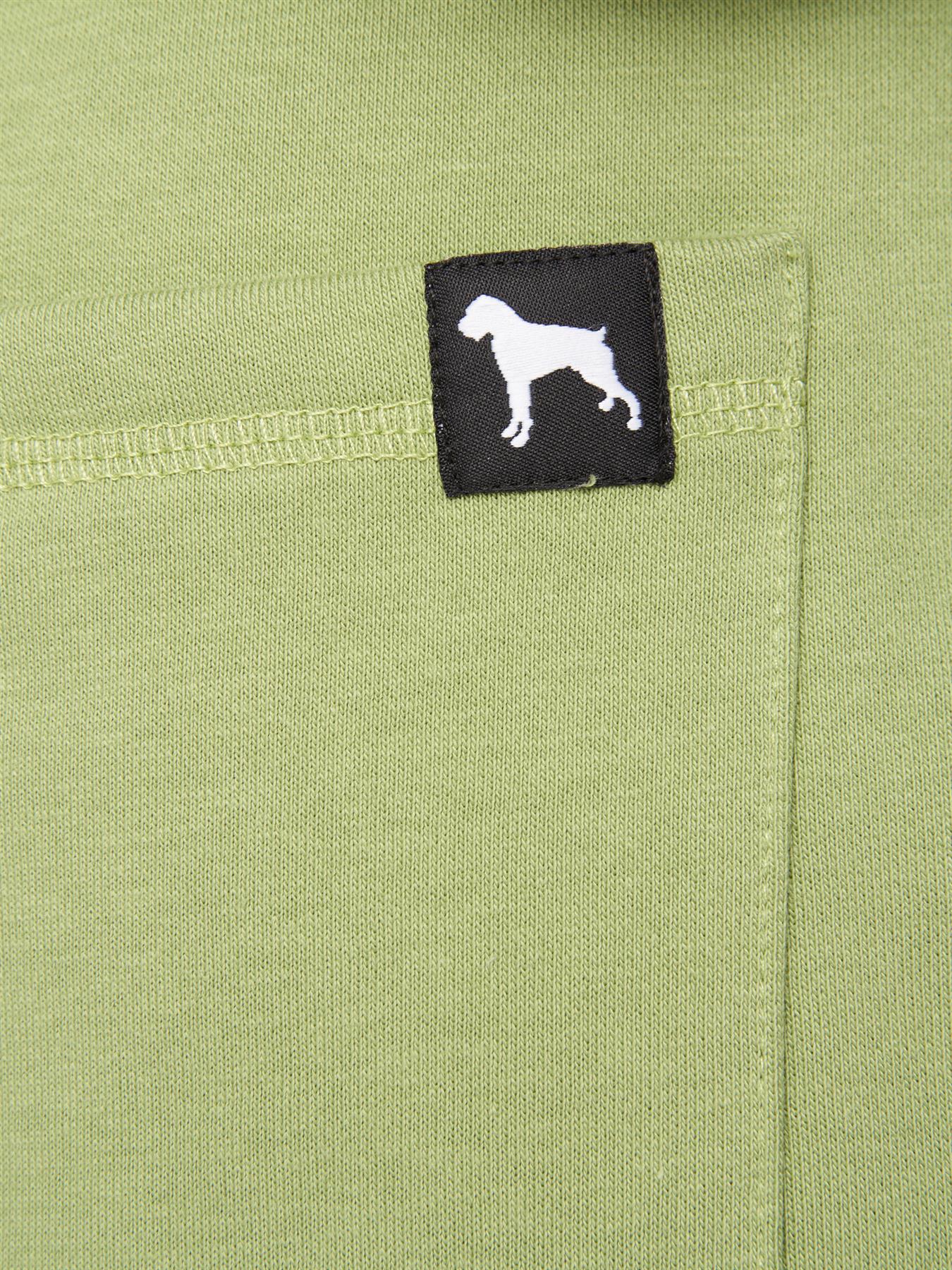 Dexon Shorts Green