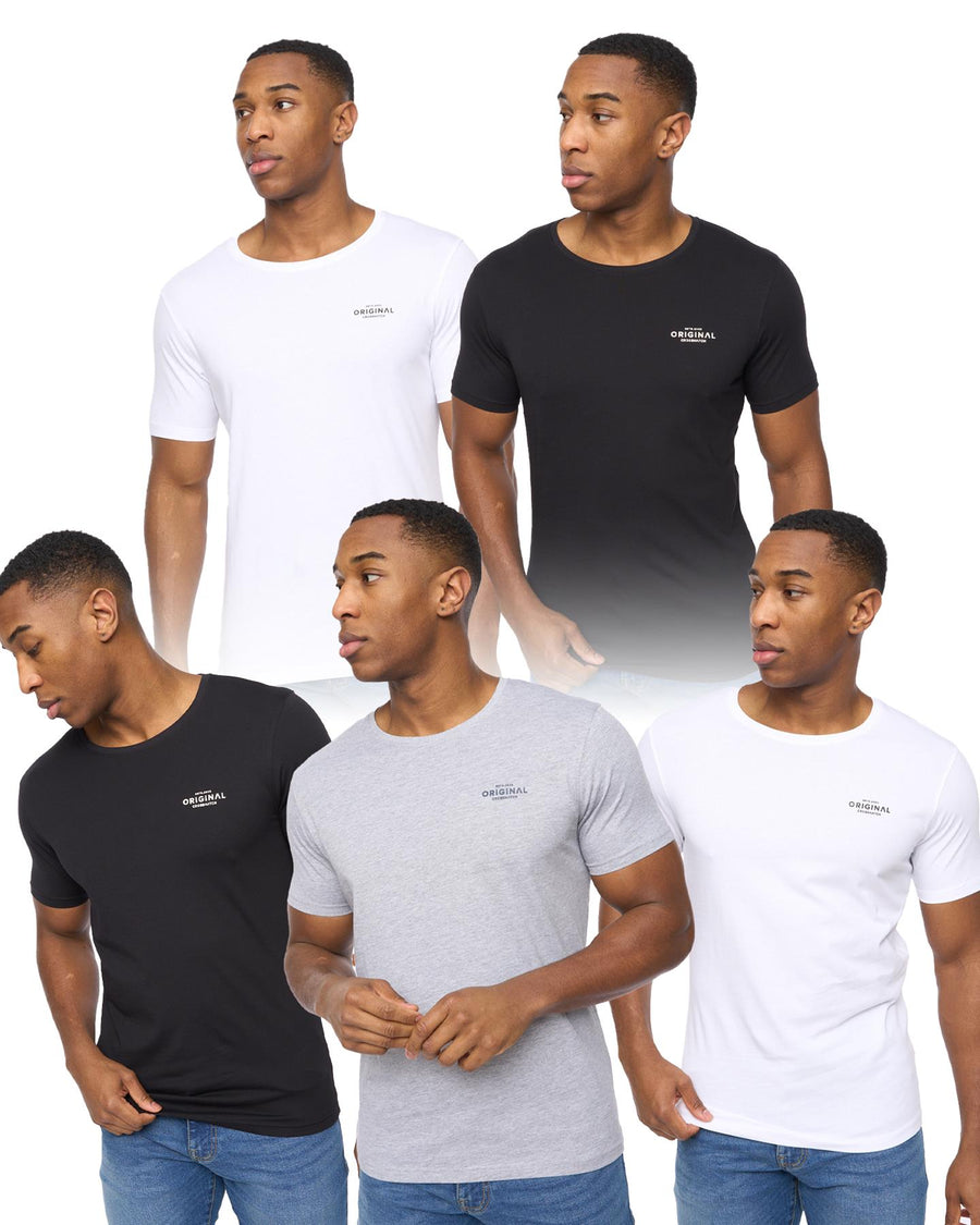 Mens Basicstandard T-Shirt 5pk Assorted