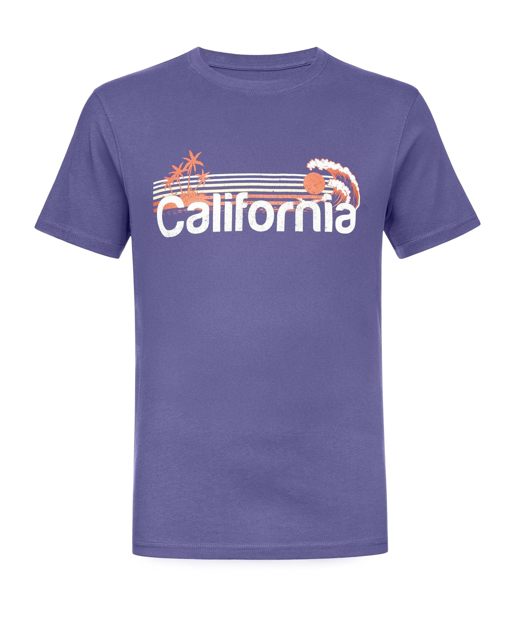 Mens Pacheco T-Shirt 5pk Assorted