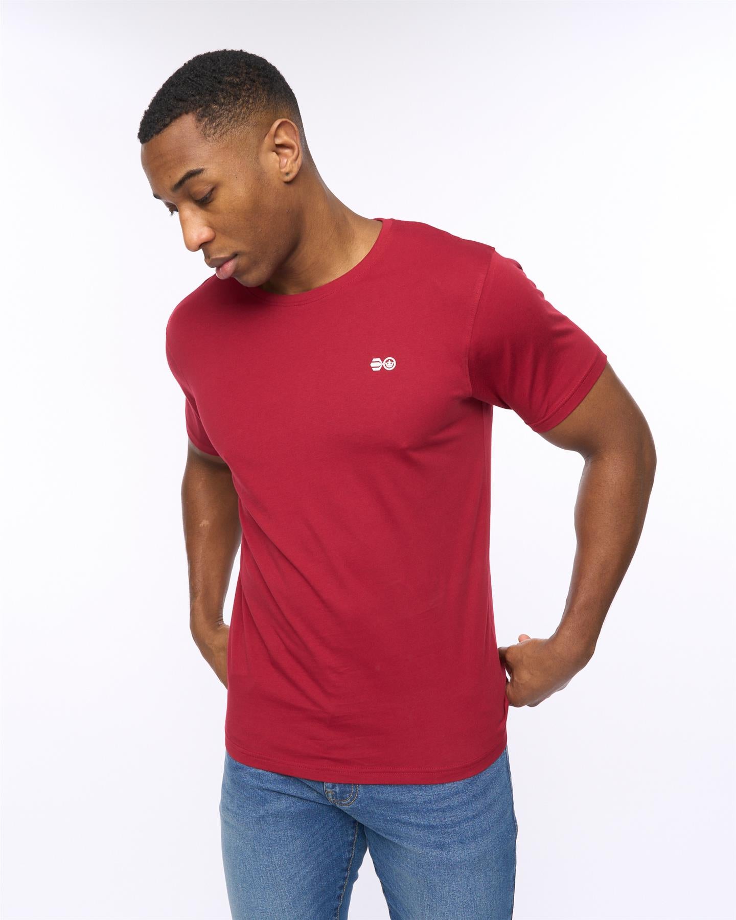 Mens Dellmere T-Shirt 5pk Assorted