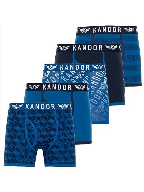 Men's Lingo Boxers 5pk Blue
