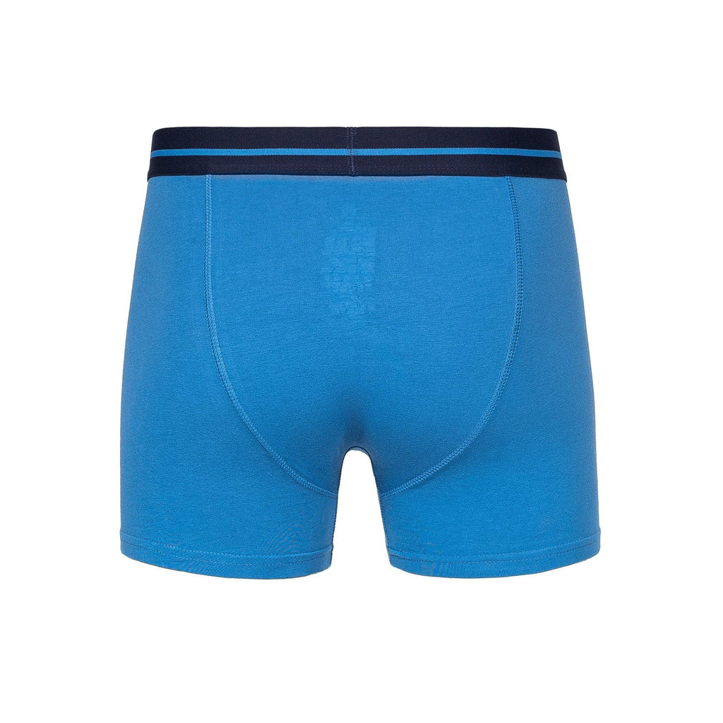 Duck and Cover Mens Scorla Boxers 3pk Blue