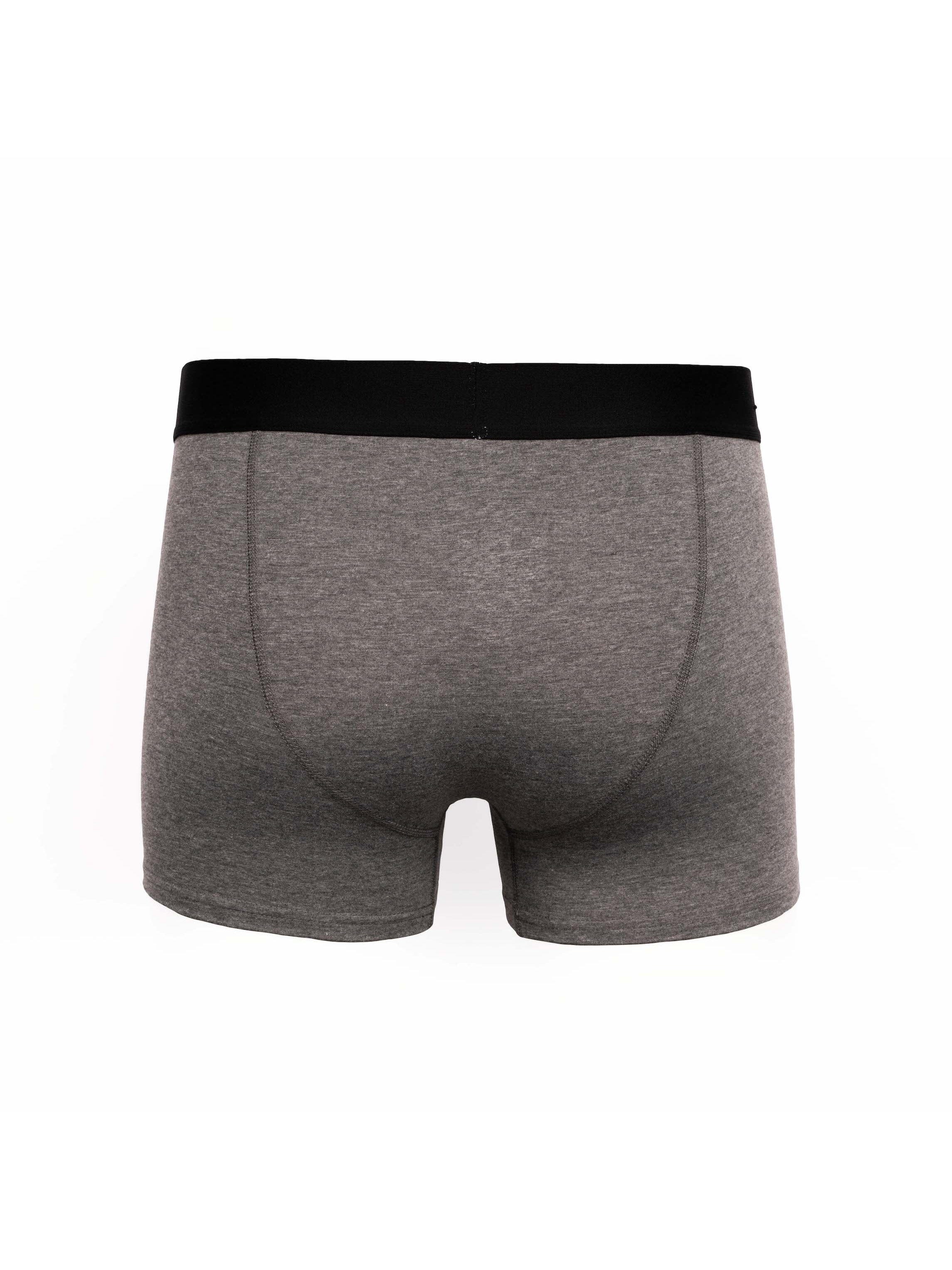 Darton Boxers 2pk Grey Marl