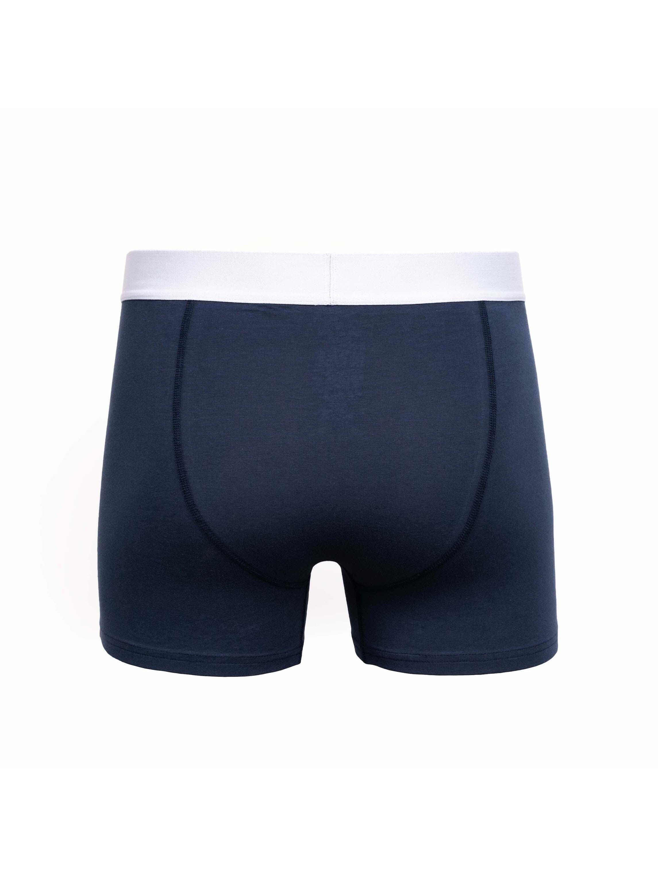 Galton Boxers 2pk Green/Blue